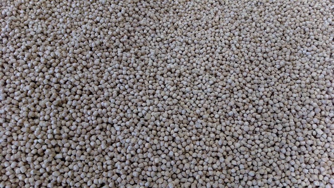 Animal Feeds & Cage Fish Farming